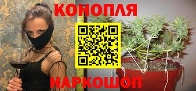 прущие грибы Пенза