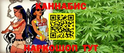 прущие грибы Пенза