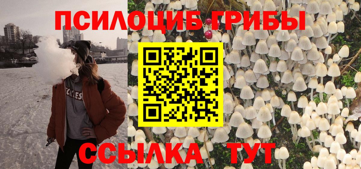 Сосновый Бор  Галлюциногенные грибы Magic Shrooms  Вход с VPN 